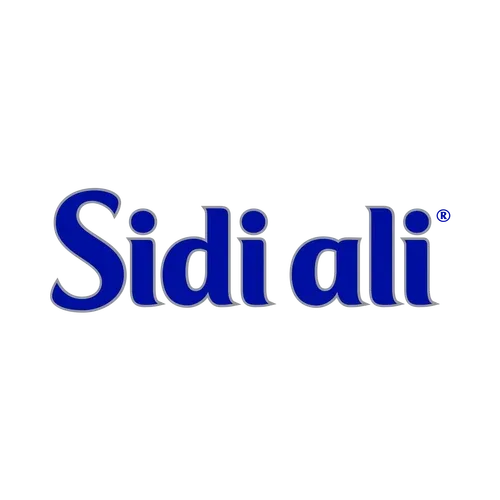 Sidi Ali bottled water