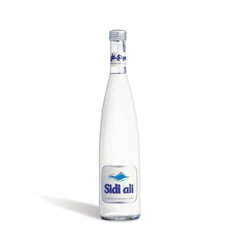 Sidi Ali bottled water