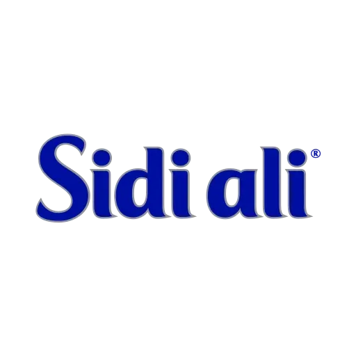Sidi Ali